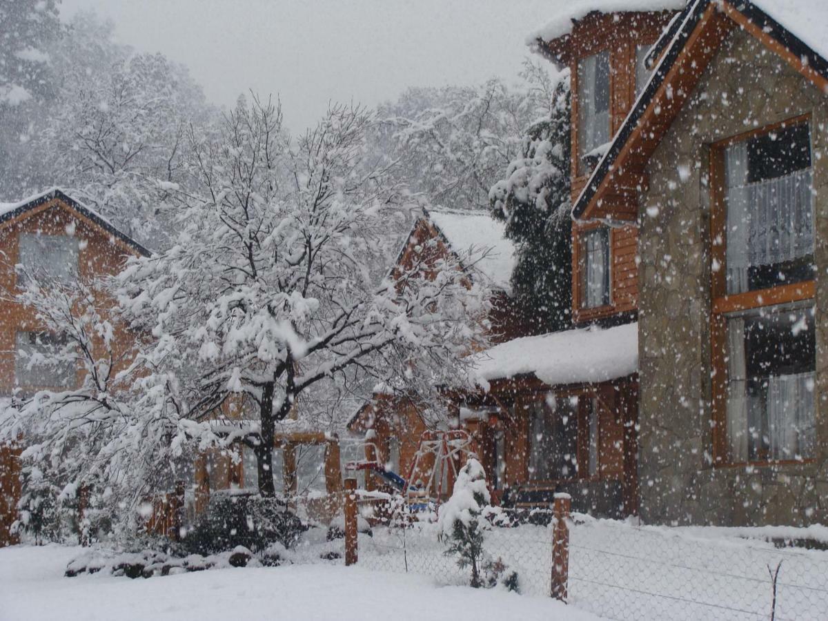 Hotel Dormi Del Pellin San Martín de los Andes Exteriér fotografie